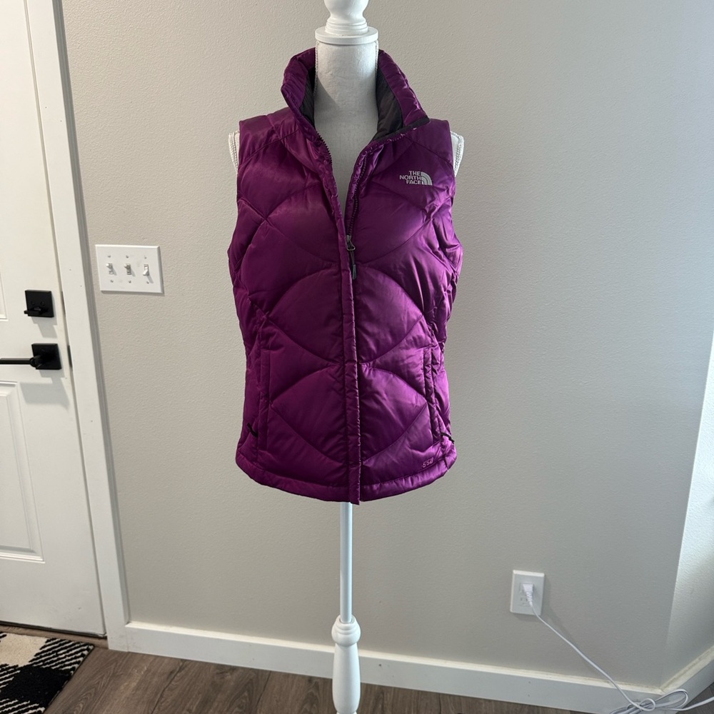 The North Face 550 Quilted Down Vest